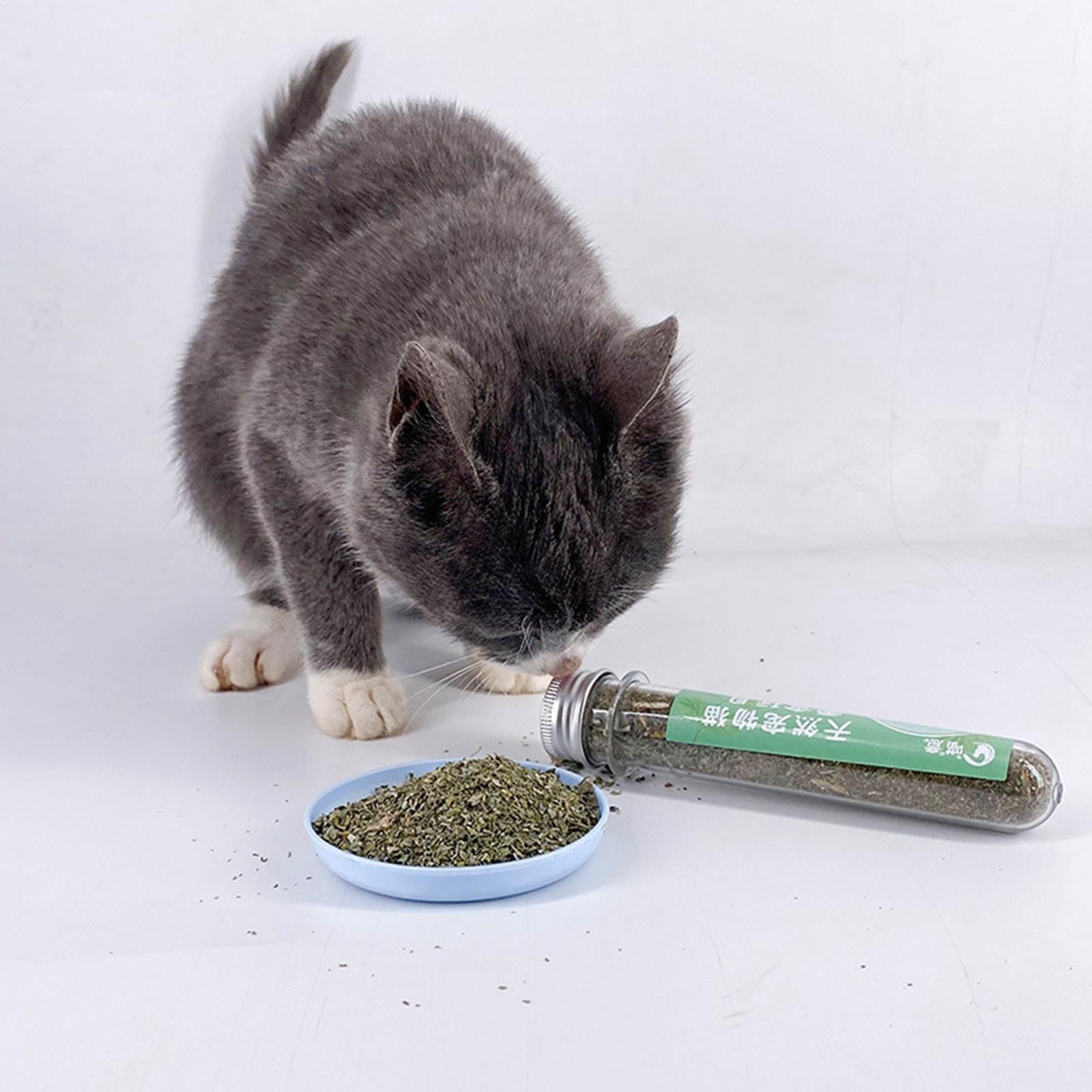 Catnip for Cats Premium Quality Strong Dried Catnip for Cat Toys Catnip for Cat Calming Scratch Pad Cat Bed Cat Toys
