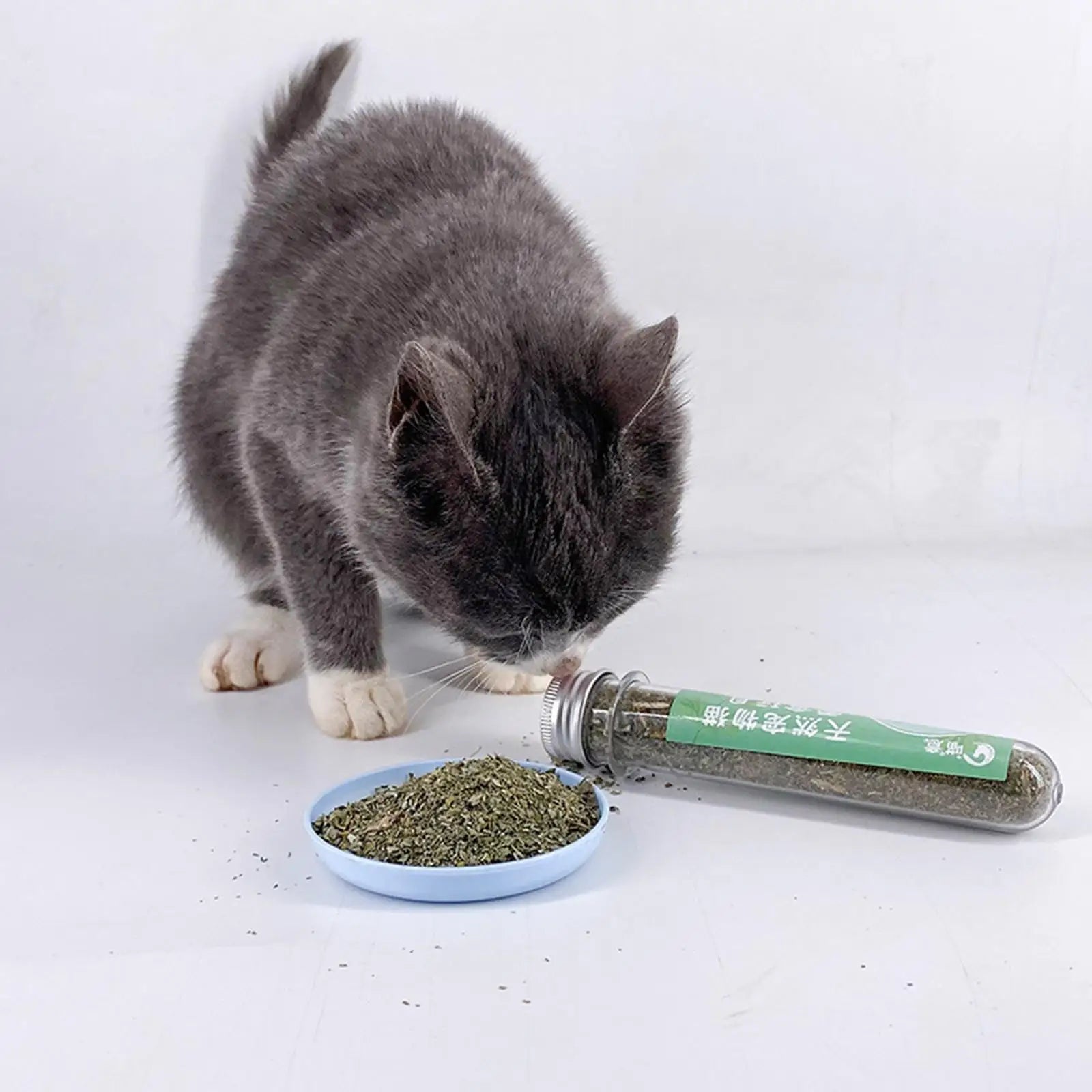 Catnip for Cats Premium Quality Strong Dried Catnip for Cat Toys Catnip for Cat Calming Scratch Pad Cat Bed Cat Toys