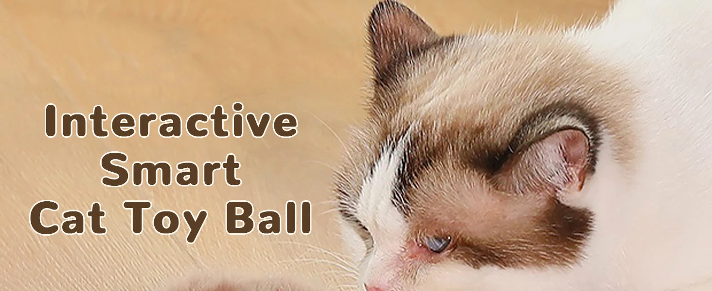 Cat Interactive ball Toy, Automatic Rolling Ball with Tail, Rechargeable Smart Pet Interactive Toy, Intelligent toy for Cat