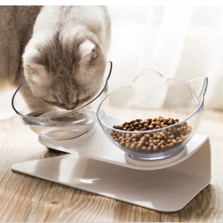 Double Cat Pet Feeding Bowls Food Bowl 15° Tilting with Stand Anti-Swing Kittens Elevated Puppy Dog Food and Water Raised Bowls