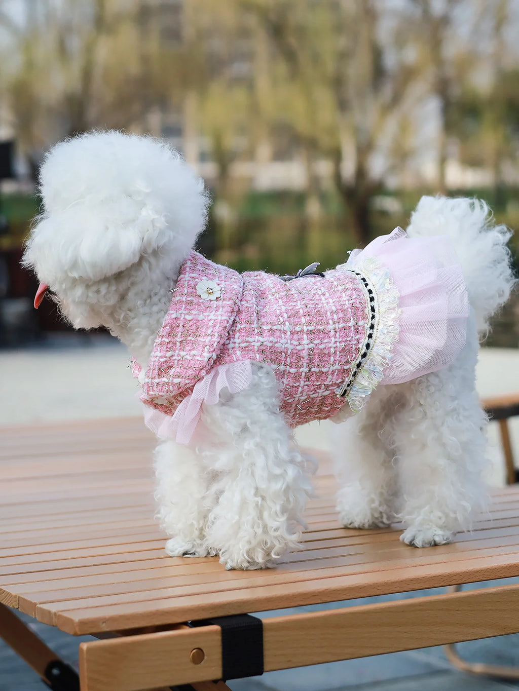 Dog clothes Princess Dress & Jacket For Pets, Suitable For Poodle, Maltese, Yorkshire Terrier In Spring And Autumn