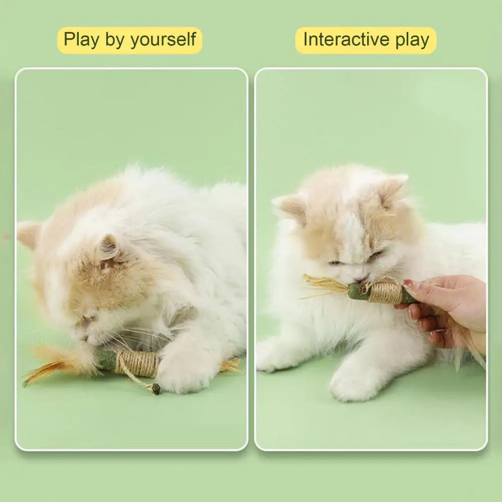 Catnip Cat Toy Cat Dental Health Chew Toy Natural Catnip Silvervine Chew Sticks for Cats Dental Care Anxiety Relief Appetite