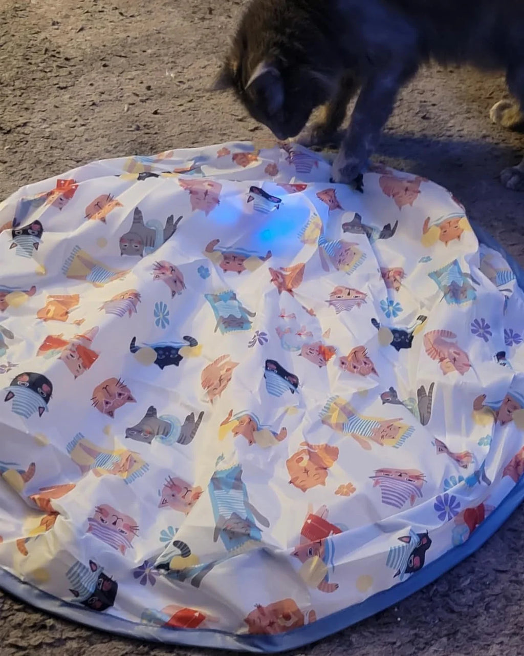 Interactive Cat Chase Toy with USB Rechargeable Rolling Balls - Durable Plastic & Soft Polyester, Cartoon Design for Exercise &