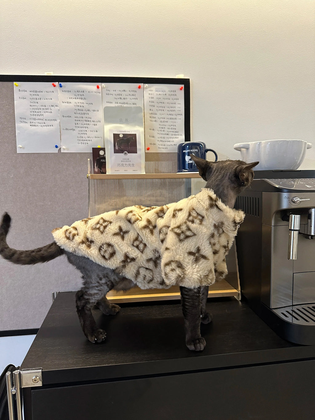 Dog Clothes Pet for Small Breeds Dogs Clothing Hoodie Winter Designer Suit Products Accessory Accessories Costume Medium