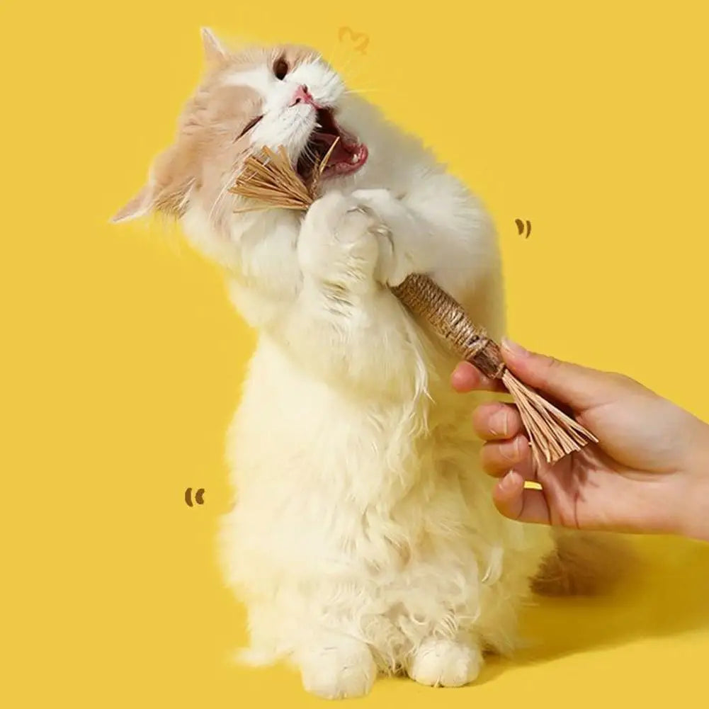 Cat Toys Cleaning Teeth Silvervine Chew Stick Pet Snacks Sticks Natural Stuff with Catnip for Kitten Catnip Teasing Chew Toys