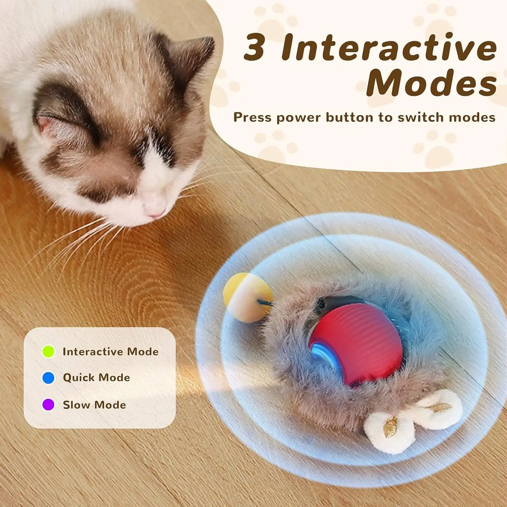 Cat Interactive ball Toy, Automatic Rolling Ball with Tail, Rechargeable Smart Pet Interactive Toy, Intelligent toy for Cat