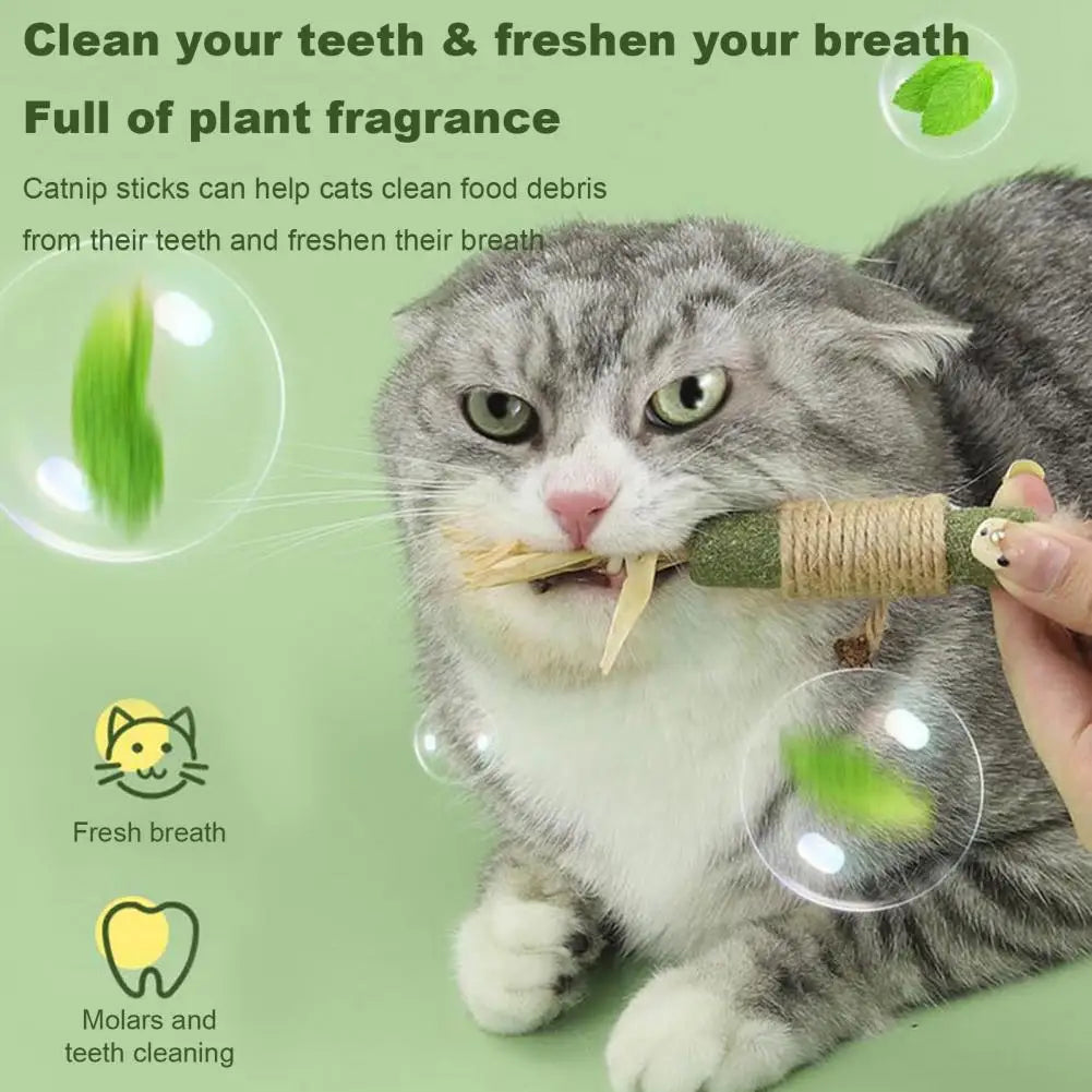 Catnip Cat Toy Cat Dental Health Chew Toy Natural Catnip Silvervine Chew Sticks for Cats Dental Care Anxiety Relief Appetite