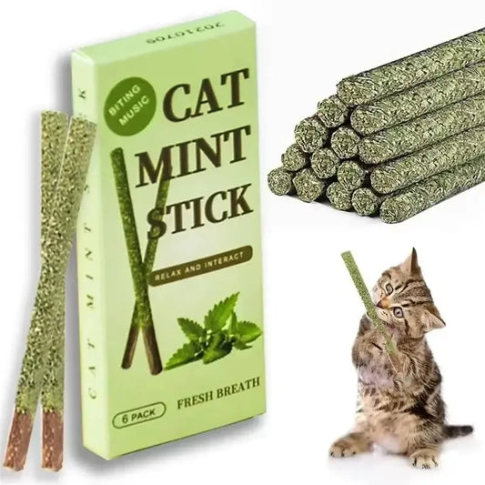 1-3pcs Natural Catnip Pet Cat Molar Toothpaste Stick Cat Snacks Sticks Pet Cleaning Teeth Cat Toys Silver Vine Pet Toy