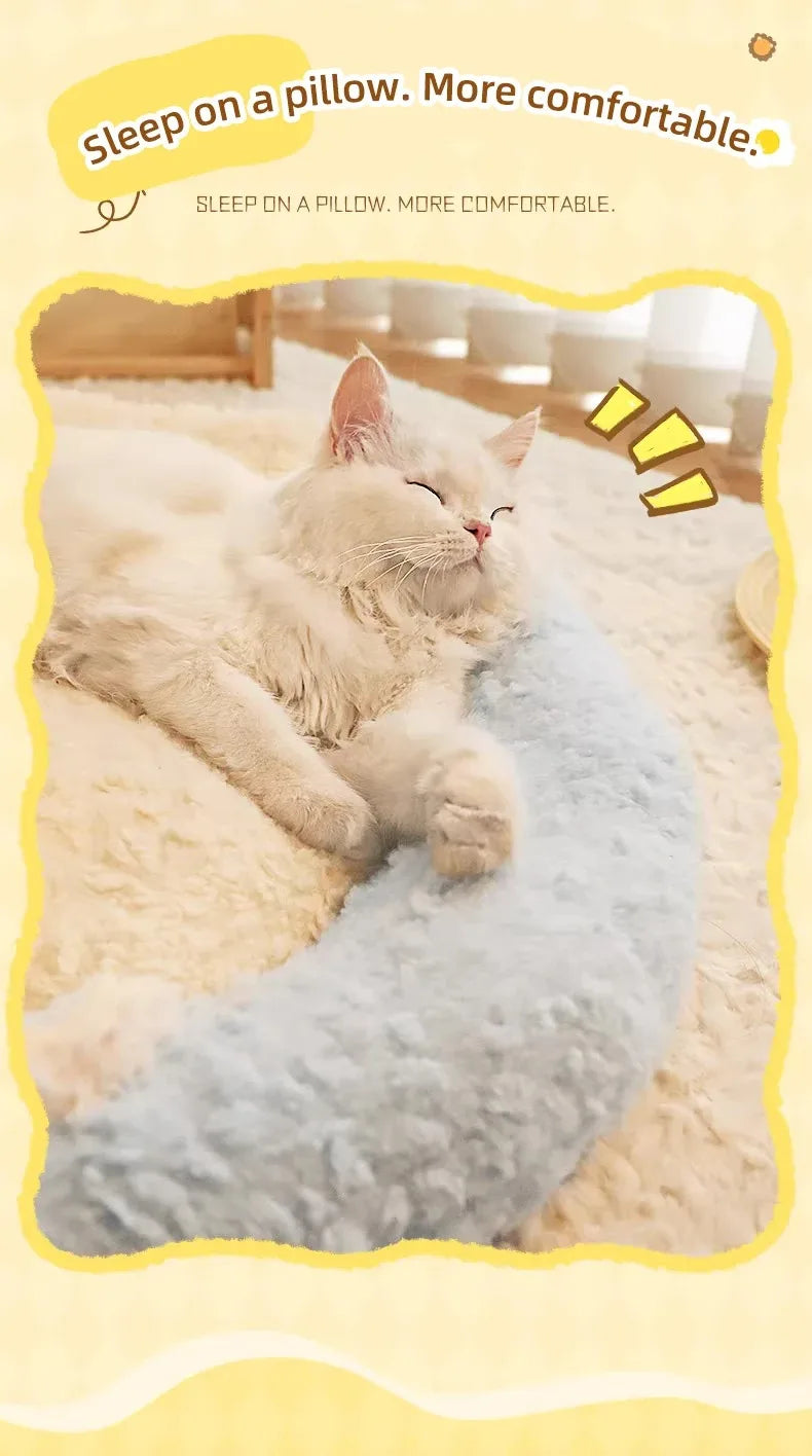 Pet Supplies Cats Products Cushions Dog Mat Bed Basket Things Puppy Accessories Beds Kitten House Goods Accessory Houses All Cat