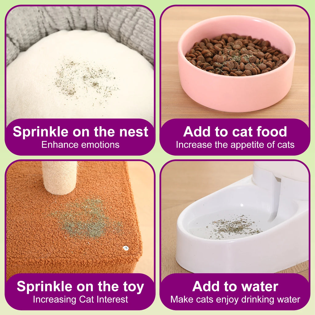 Catnip+Silvervine for Cats & Kittens Safety-Cut Premium Fine Cat Nip Blend Silvervine + Wooden Spoon，100 ML,Create a Monster!