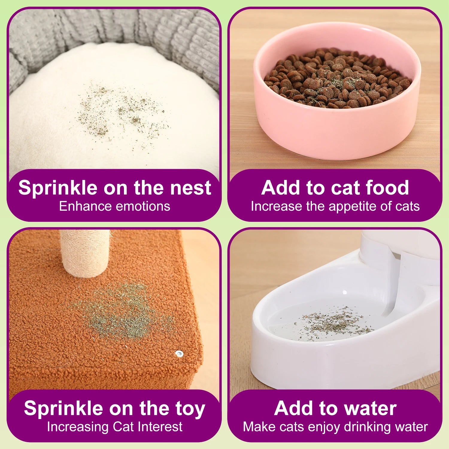 Catnip+Silvervine for Cats & Kittens Safety-Cut Premium Fine Cat Nip Blend Silvervine + Wooden Spoon，100 ML,Create a Monster!