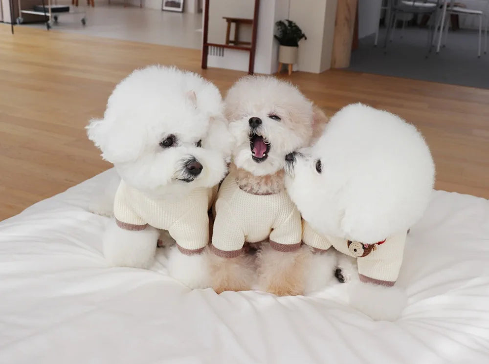 Cute Couple Dog Clothes Pet Dresses Shirt Waffle Cat Dog Shirt Puppy Pet Skirt Clothing for perro Dogs Cats Chihuahua Yorkie