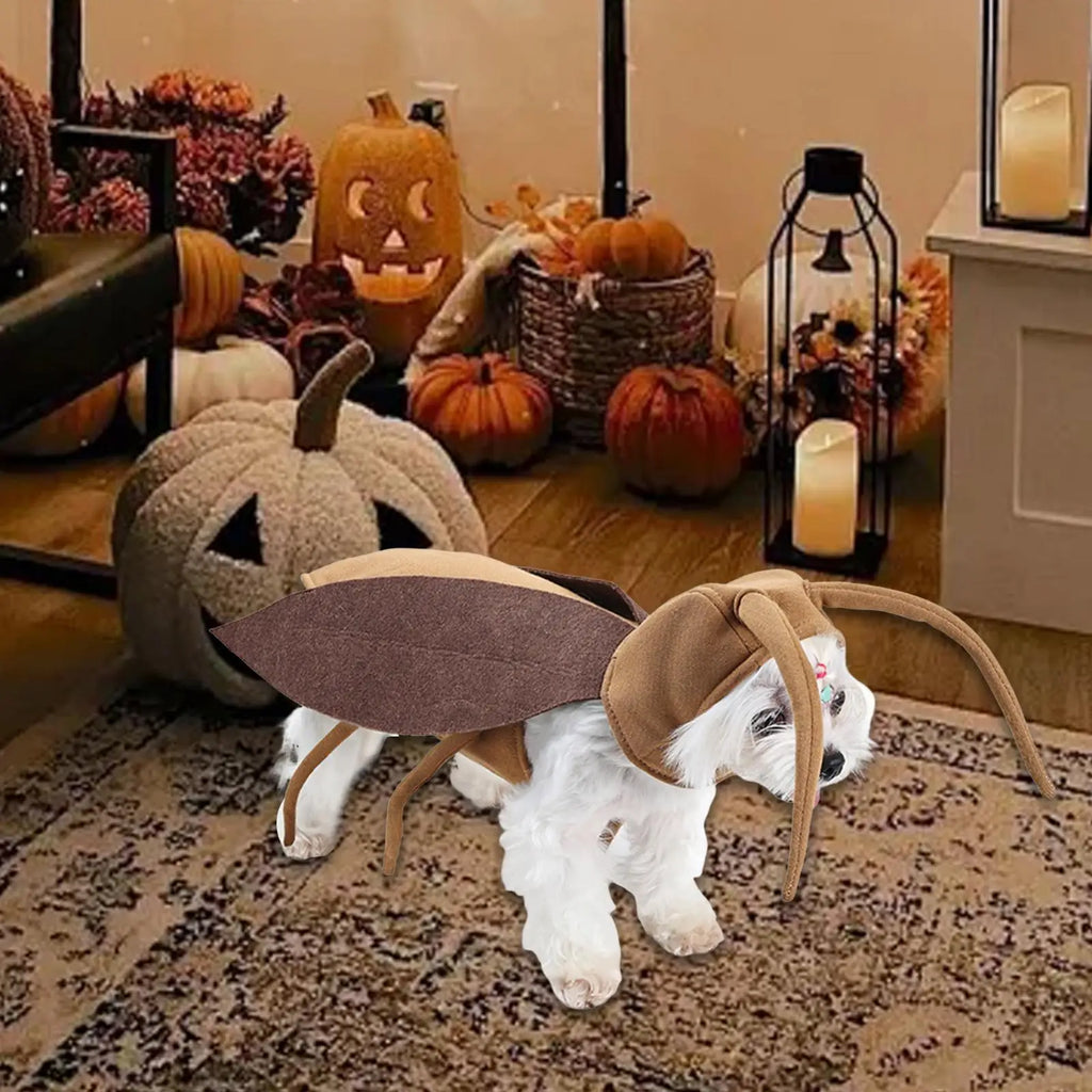 Dog Cosplay Clothes, Festive Pet Clothes, Festival Photo Props, Decoration, Pet