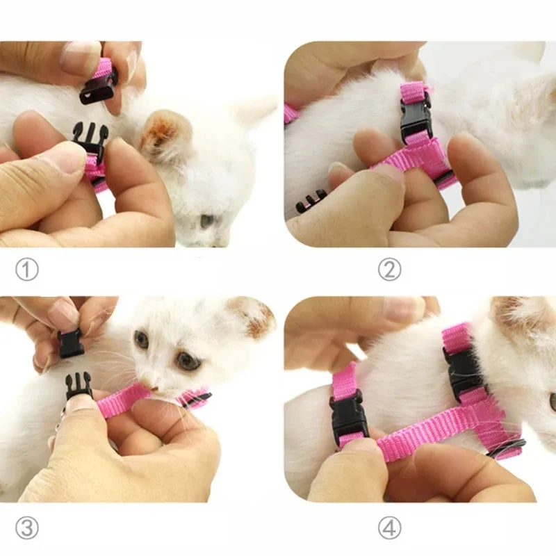 Cats Supplies Goods Kittens Accessories Pets Collar, Harness, Leash Pet Products Breast-band Kitten Things For Cat