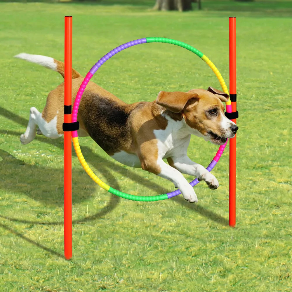 Dog Agility Equipment Portable Pet Training Equipments Dogs Jumping Training Tool Outdoor Dogs Running Stake Sports Stakes Pole