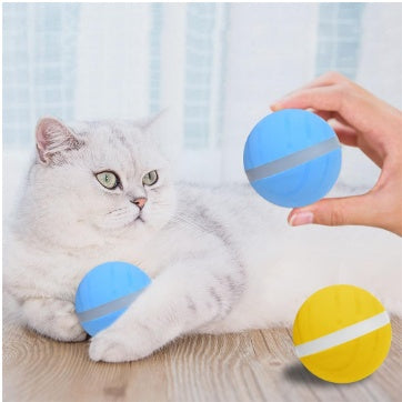 Smart Pet Toy Ball USB Charging - Get It for Your Pets
