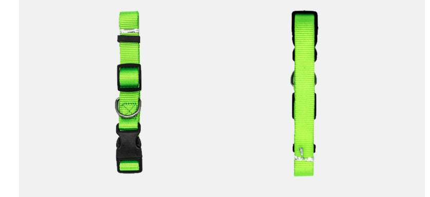 New Pet Collar - Get It for Your Pets - Pet Store