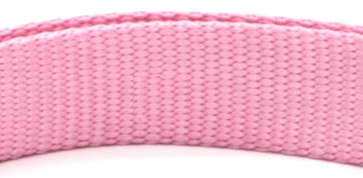 New Pet Collar - Get It for Your Pets - Pet Store