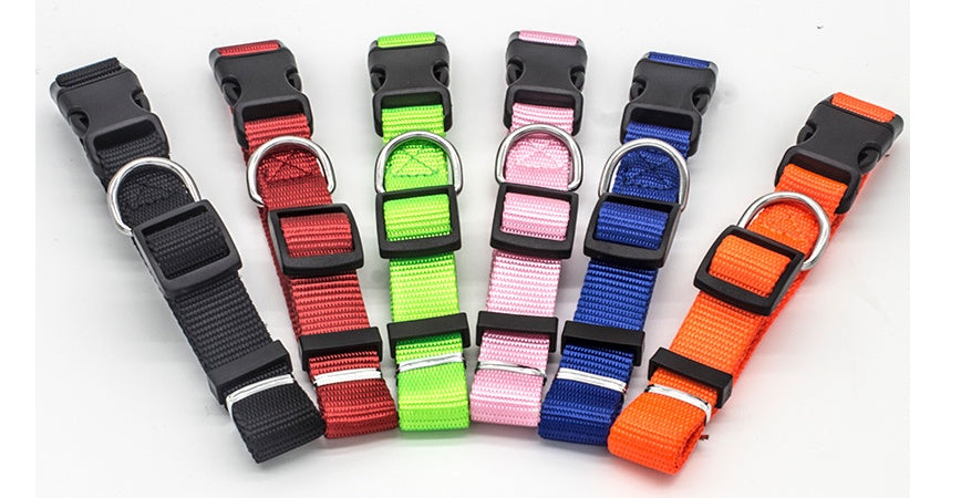 New Pet Collar - Get It for Your Pets - Pet Store
