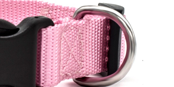 New Pet Collar - Get It for Your Pets - Pet Store