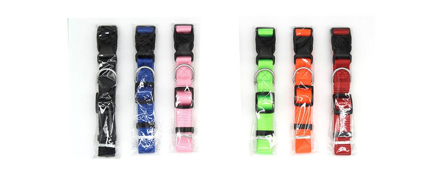 New Pet Collar - Get It for Your Pets - Pet Store