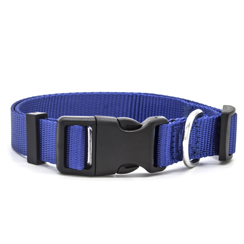 New Pet Collar - Get It for Your Pets - Pet Store