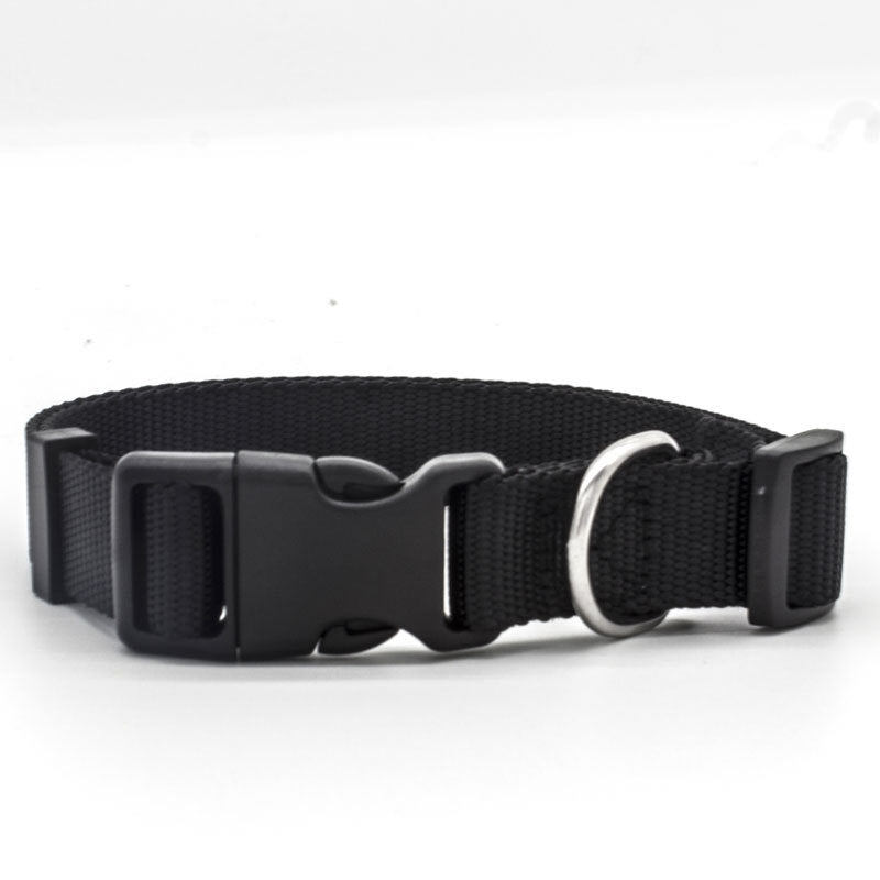 New Pet Collar - Get It for Your Pets - Pet Store
