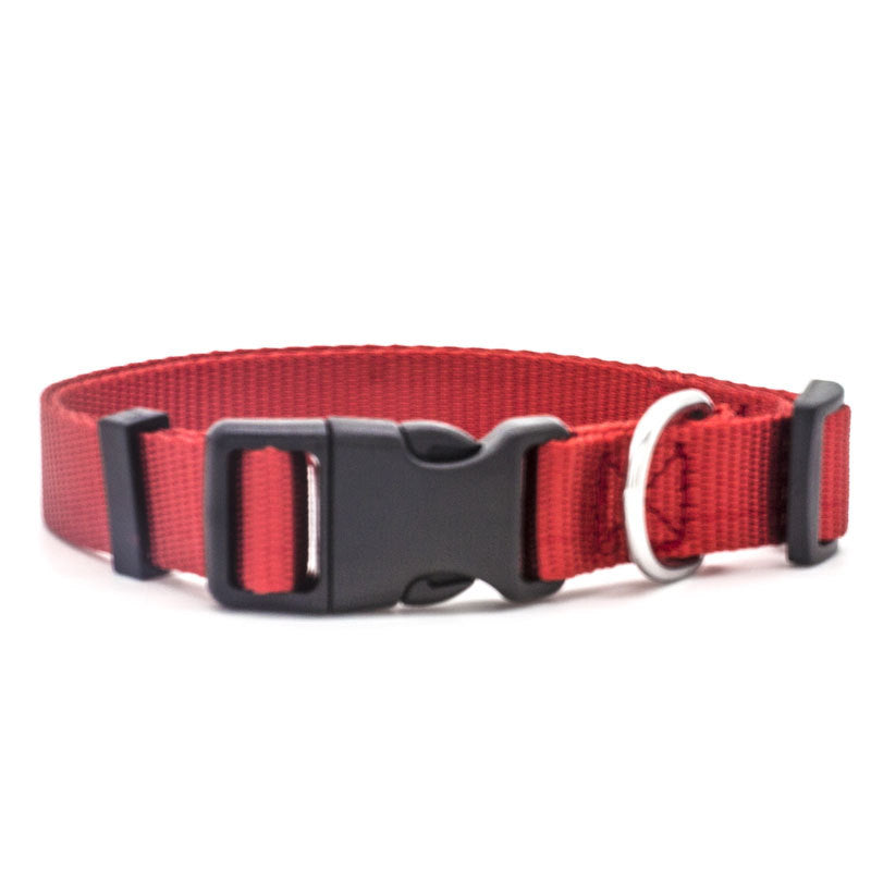 New Pet Collar - Get It for Your Pets - Pet Store