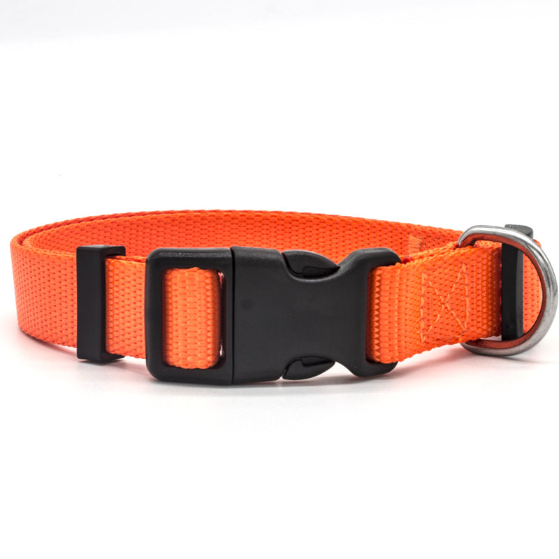 New Pet Collar - Get It for Your Pets - Pet Store