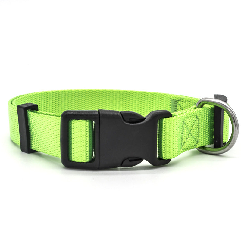 New Pet Collar - Get It for Your Pets - Pet Store