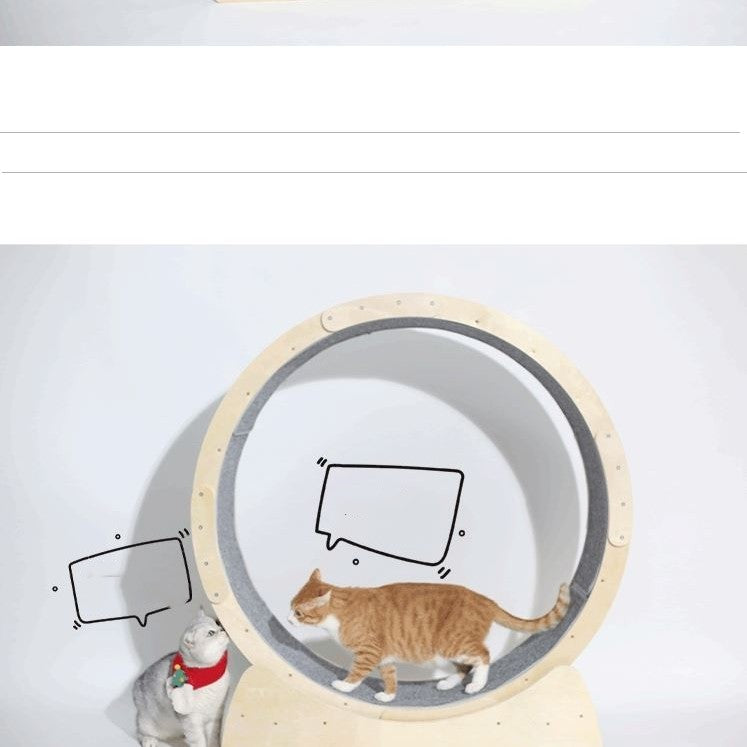 Special Toys For Cat Treadmill Roller - Get It for Your Pets