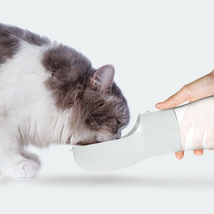 Traveling Out Portable Dog Water Dispenser - Get It for Your Pets - Pet Store